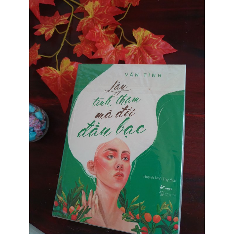 Lấy Tình Thâm Đổi Đầu Bạc Vãn Tình 192752