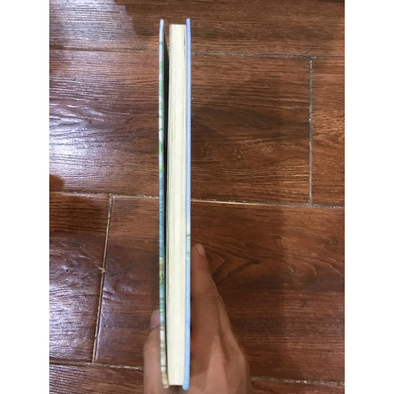 Dế Mèn Phiêu Lưu Ký - Tô Hoài  (c) 471562