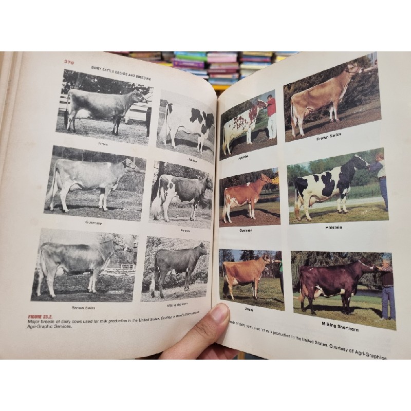 SCIENTIFIC FARM ANIMAL PRODUCTION : An Introduction to Animal Science (3rd Edition) - R.E. Taylor, R. Bogart 139496