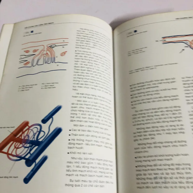 KHÁM PHÁ BỆNH SUY TĨNH MẠCH MẠN TÍNH 707200