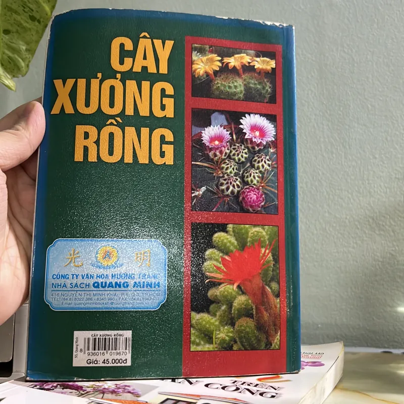 Combo kỹ thuật trồng lan - cây xương rồng 750748