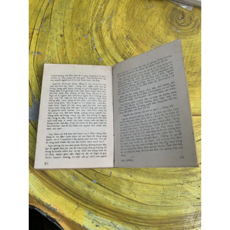 TÌNH SỬ ANGIELIC: ANGELIC VÀ QUỐC VƯƠNG Ả RẬP HAI TẬP 746638