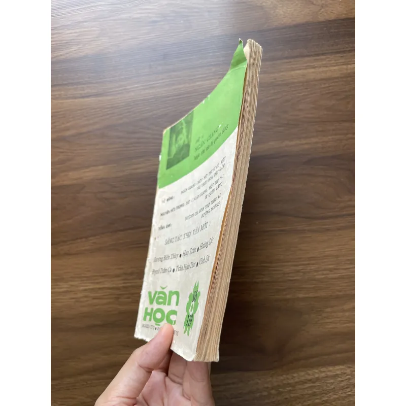 Văn học 119 - Nữ sĩ Ngân Giang một thi tài bị lãng quên 1020542