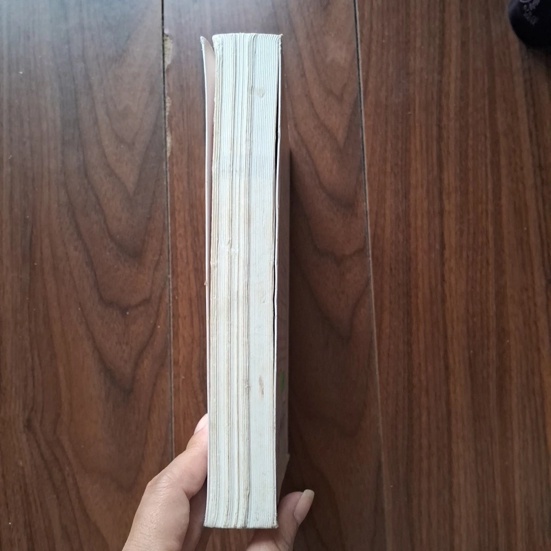 Cô dâu chạy trốn 505376