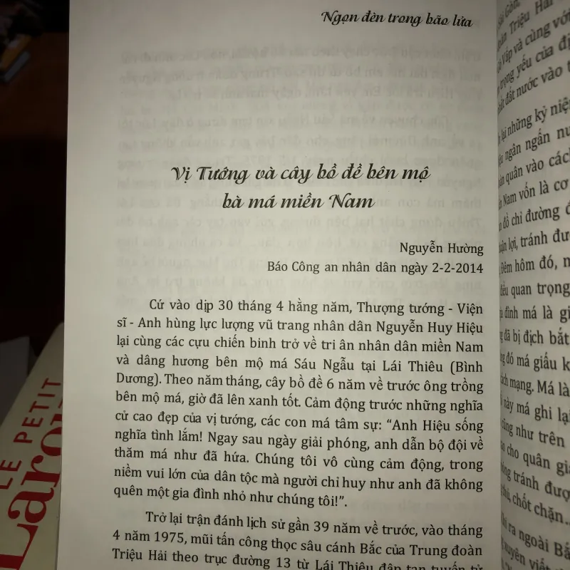 Ngọn Đèn Trong Bão Lửa - Phạm Xuân Trường 761657