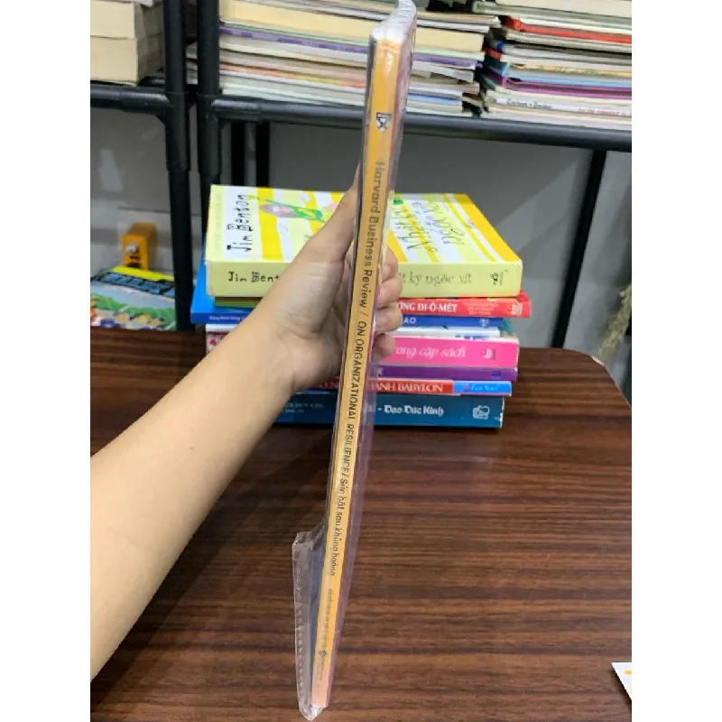 Sức bật sau khủng hoảng- Alpha Books 605278