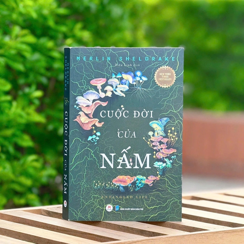 Cuộc đời của nấm | Merlin Sheldrake 526920
