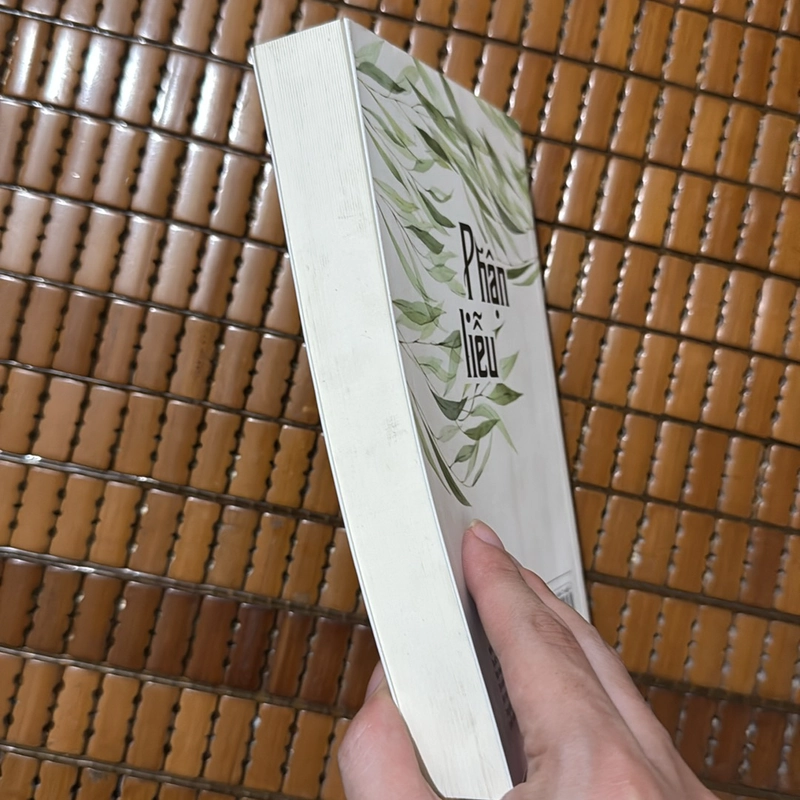 Phận liễu - Chu Thanh Hương 508537