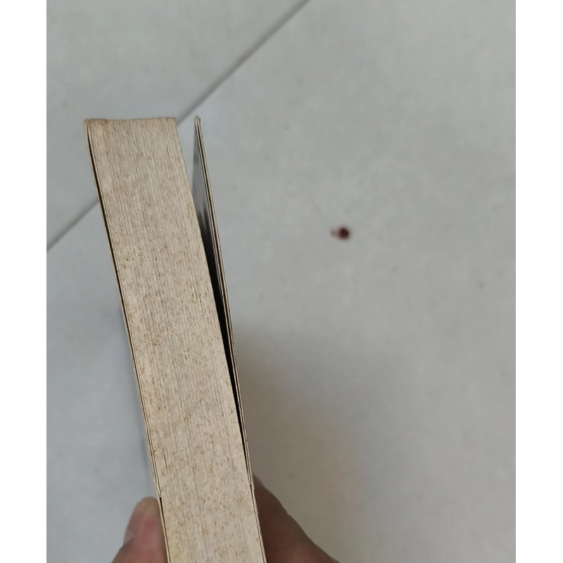 Mọi điều ta chưa nói  406191