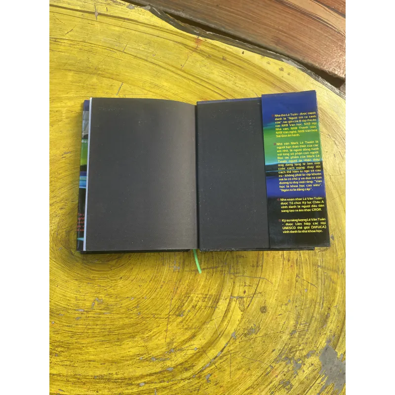 HAI ANH EM RẮN VÀ CHÚ BÉ TAN - MARK LÊ TWAIN bìa cứng 798909