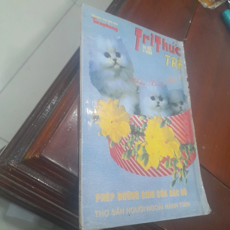 TRI THỨC TRẺ số 43 tháng 1-1999 CHÀO XUÂN MỚI 477261
