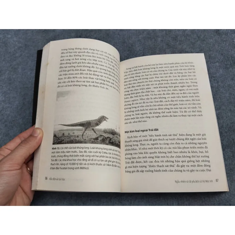 HỖN ĐỘN VÀ HÀI HOÀ 957498