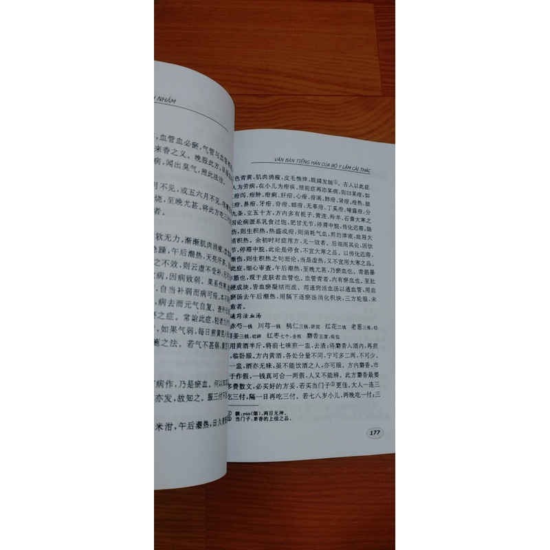 Y Lâm Cải Thác 458788