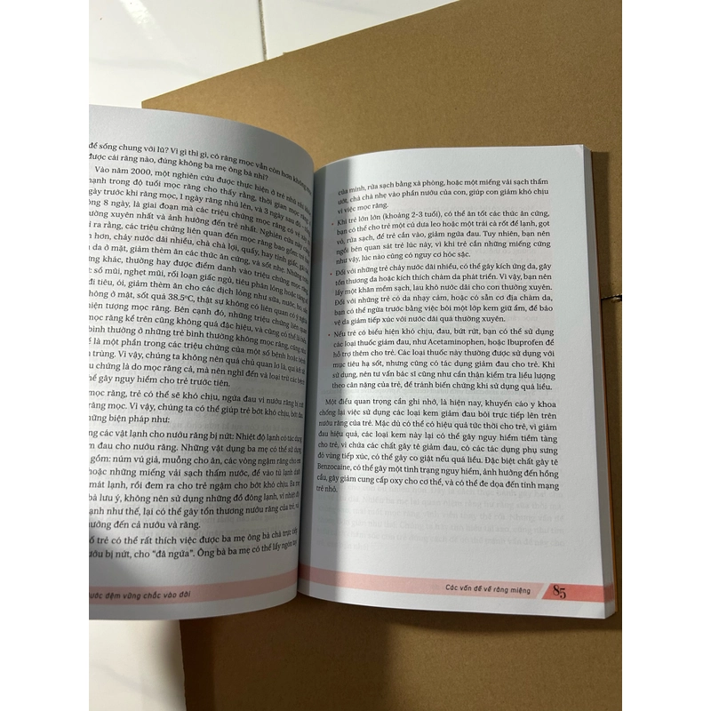 Bước đệm vững chắc vào đời 536323