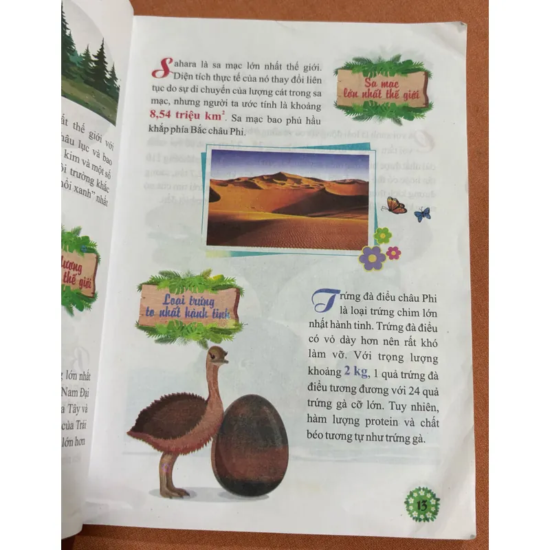 Bạn tin được không Khám phá những kỷ lục trên thế giới 🌊 692787