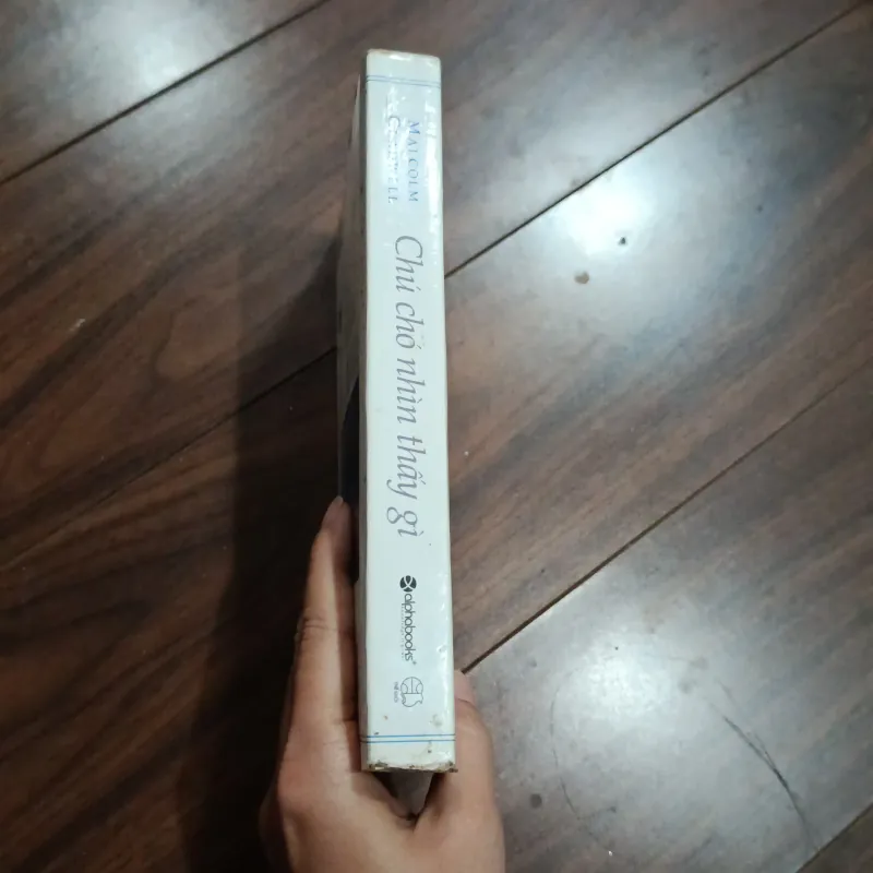 Chú chó nhìn thấy gì 757431