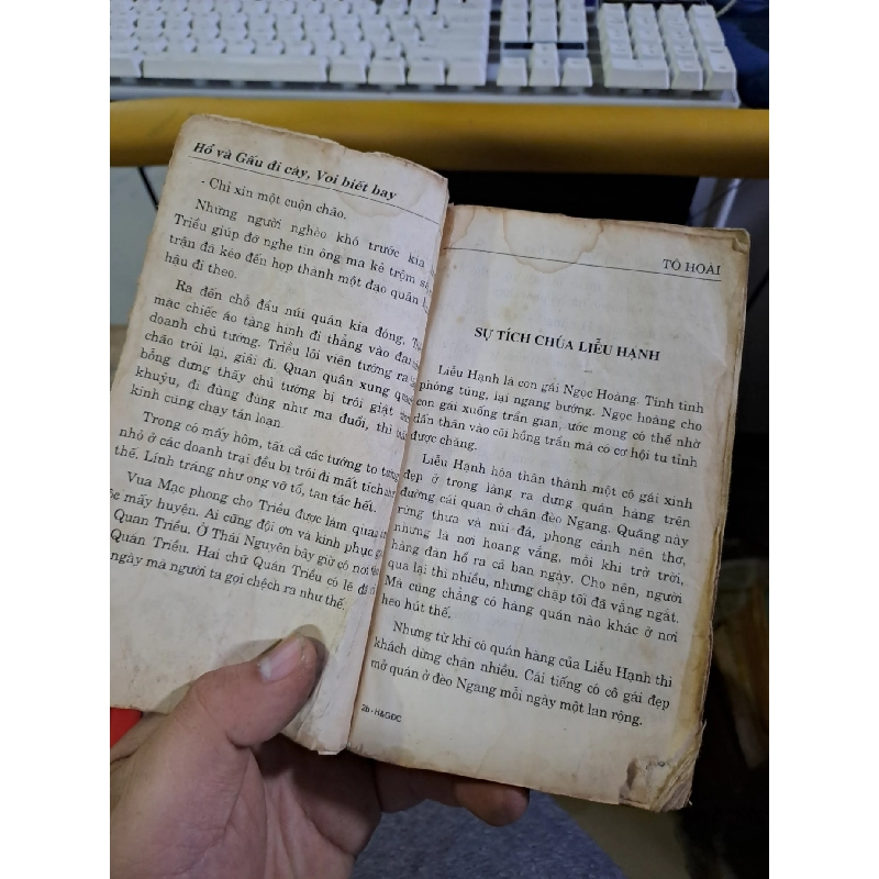 Hổ và gấu đi cày voi biết bay Tố Hữu mới 60% mất bìa ố Văn học Việt Nam HCM1709 924483