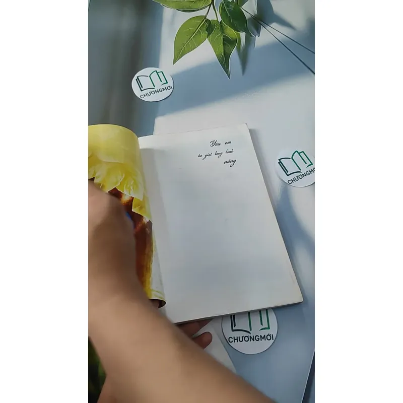 Yêu Em Từ Giọt Long Lanh Nắng 798288