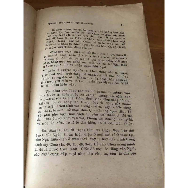 Đời Tận Hiến 1028154