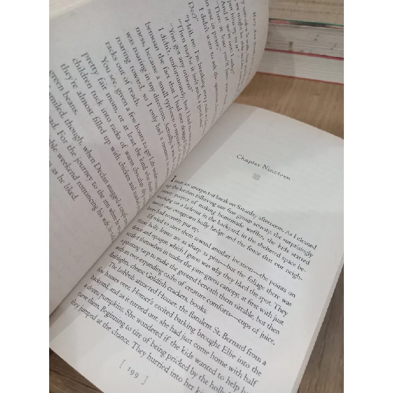 The book of illumination - Mary Ann Winkowski, Maureen Foley 708698