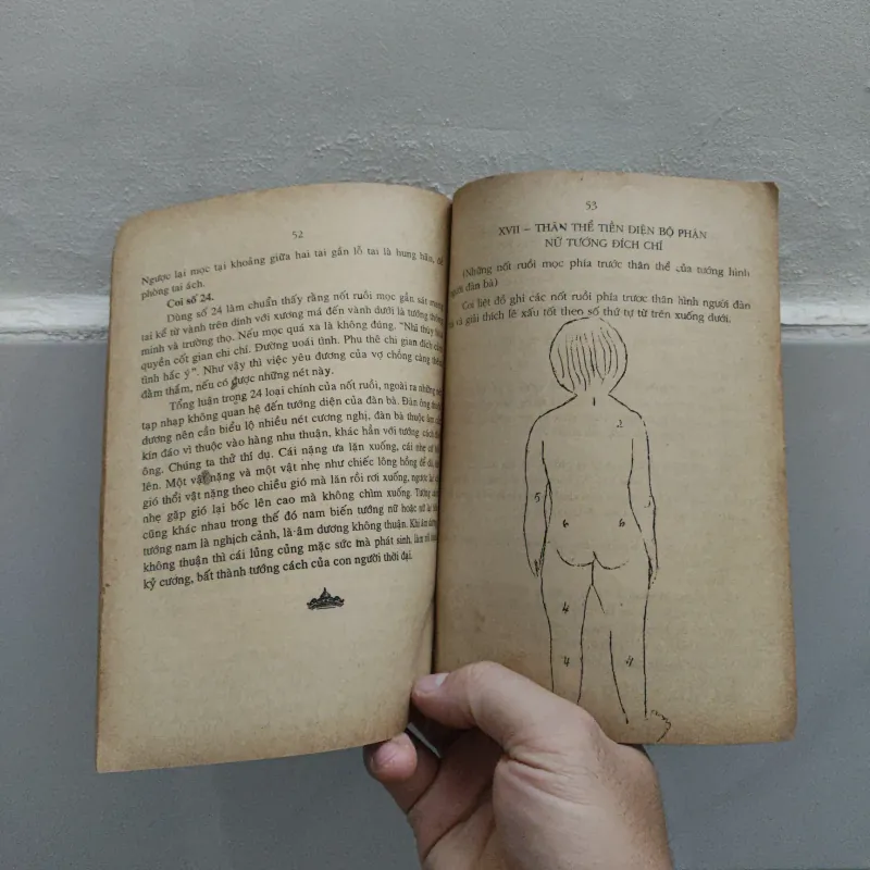 Coi Tướng Đàn Bà - Túy Lan - Nguyễn Văn Toàn  792005