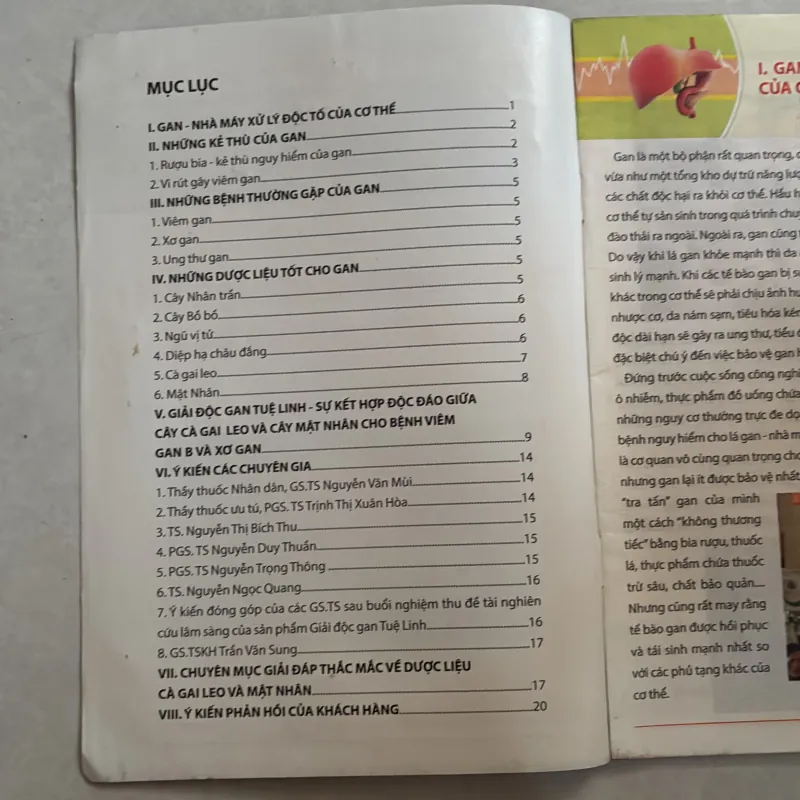 Những cây thuốc đặc biệt cho người bệnh gan 779977