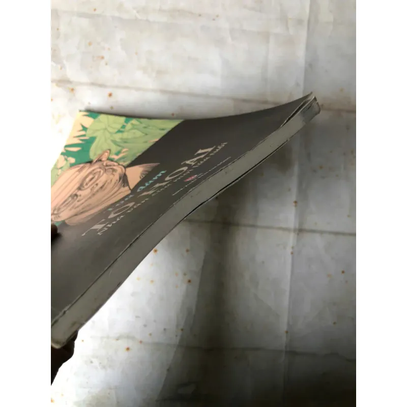 Tô Hoài - Nhà văn của mọi lứa tuổi 993926