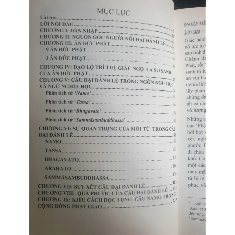 Đại Đảnh Lễ - Mahānamakkāra 1008240