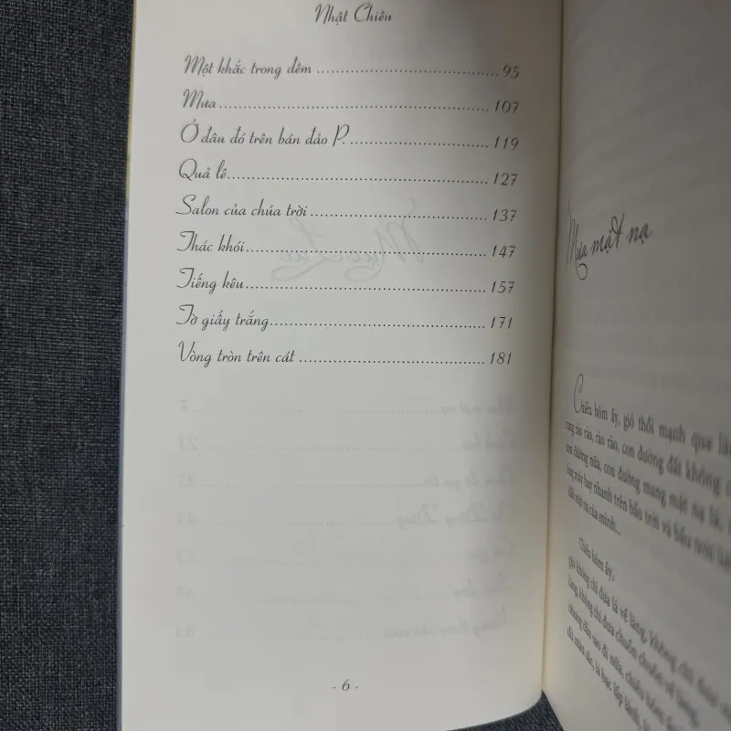 Mưa mặt nạ - Nhật Chiêu 925454