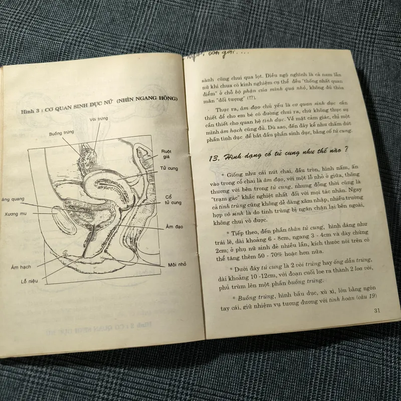 (Giáo dục giới tính cho thanh thiếu niên) Người con gái lấy chồng - BS. Trần Bồng Sơn 697731