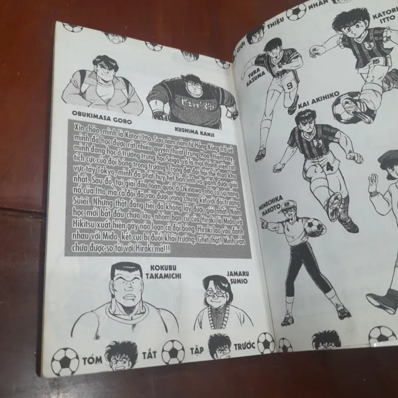 Itto CƠN LỐC SÂN CỎ - Trận đấu vòng loại khu vực 1020037