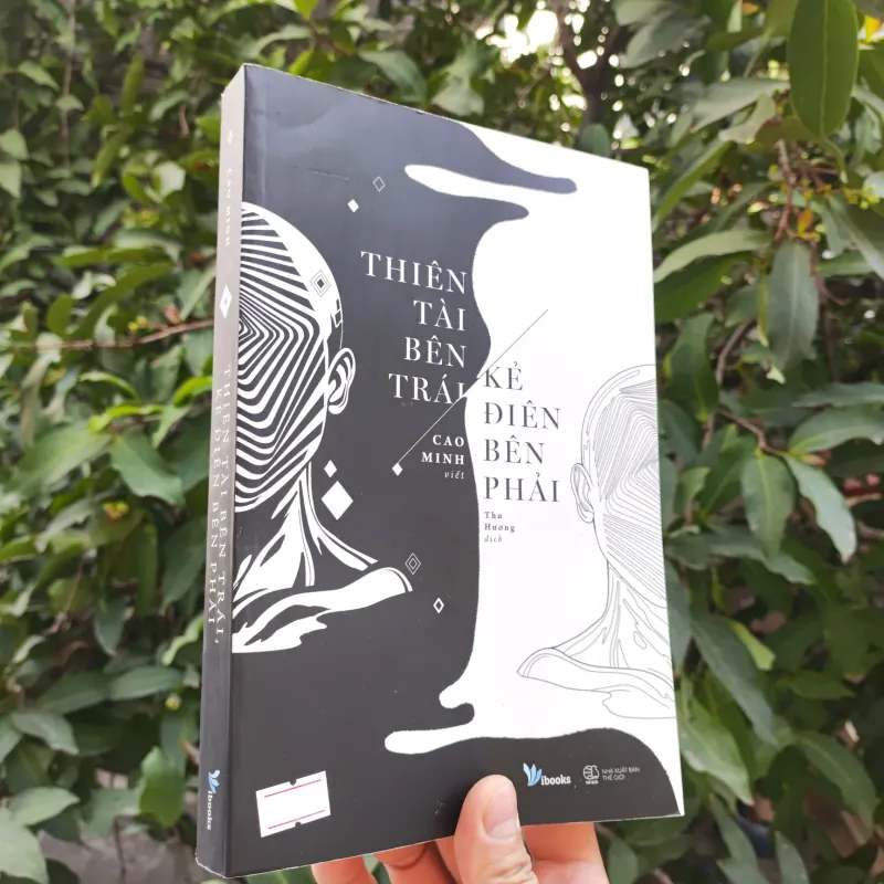Thiên Tài Bên Trái, Kẻ Điên Bên Phải - Cao Minh 925340