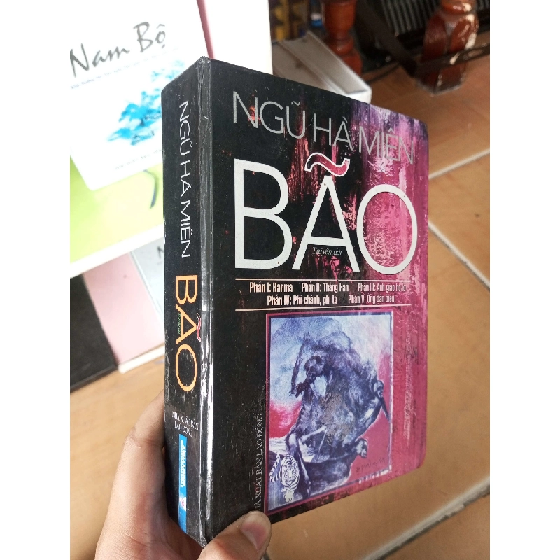 (Sách cũ SCGR) Bão - Hà Miên 2013 VAVO-A0 Blogmeo090426 1017136