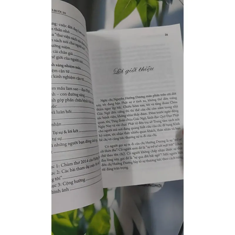 Đứng Dậy Và Bước Đi - Nguyễn Hướng Dương 798428