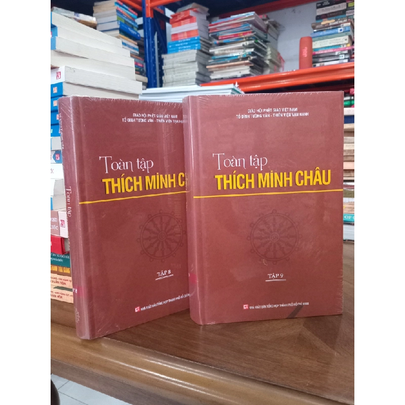 Toàn tập Thích Minh Châu tập 8,9 501432