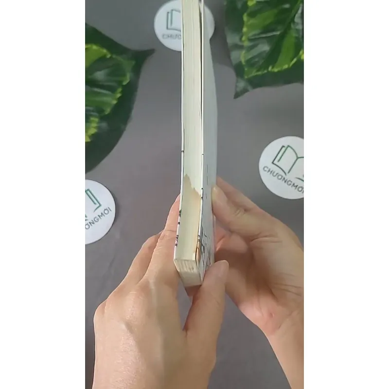 Chênh Vênh Hai Lăm - Nguyễn Ngọc Thạch 604610