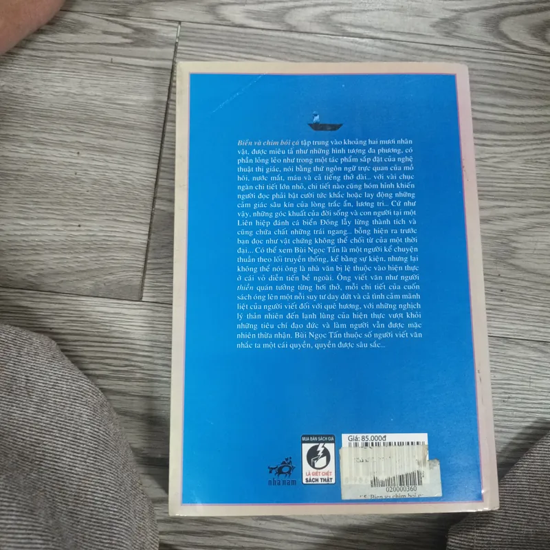 Biển Và Chim Bói Cá -  Bùi Ngọc Tấn 646783