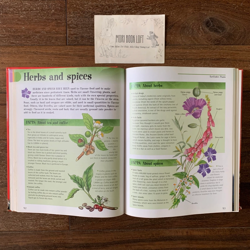 Sách ngoại văn The Big Book of Knowledge, Used, Bìa cứng, Siêu dày 542211