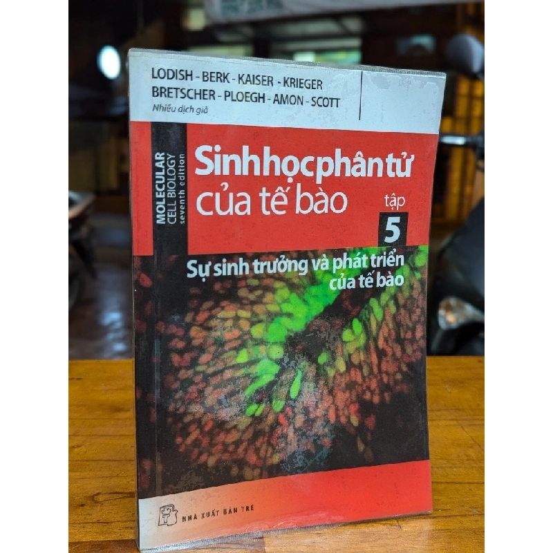 Sinh học phân tử của tế bào, bộ 5 tập 193664