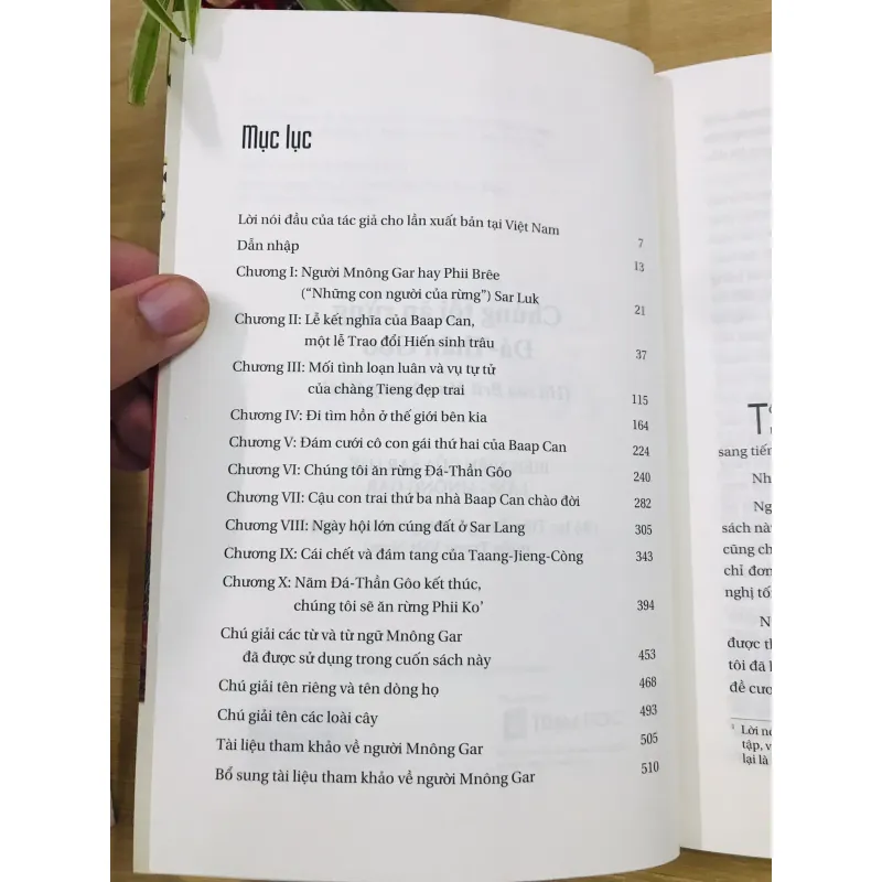 CHÚNG TÔI ĂN RỪNG - Georges Commidas 703028