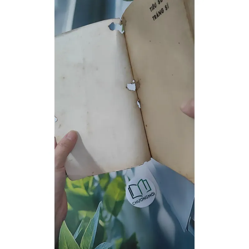 [MIỄN PHÍ BỌC SÁCH] [XƯA] Tiêu Sơn Tráng Sĩ (1989) - Khái Hưng 997648