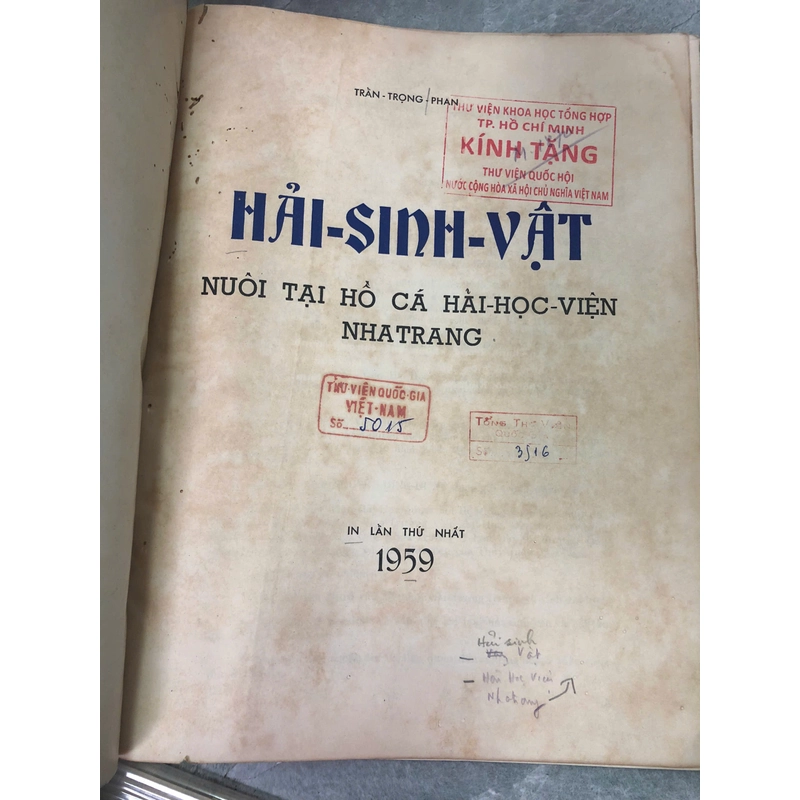 HẢI SINH VẬT NUÔI TẠI HỒ CÁ VIỆN HẢI HỌC NHA TRANG - TRẦN TRỌNG PHAN 454935