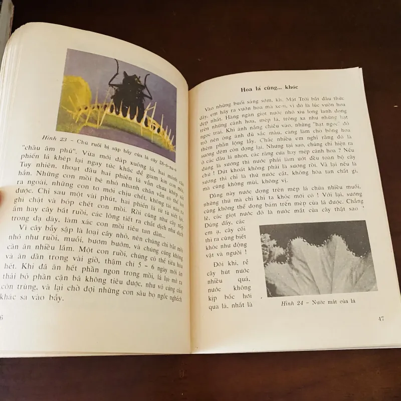 Chuyện lạ có thật về Thực vật (1994) 974194