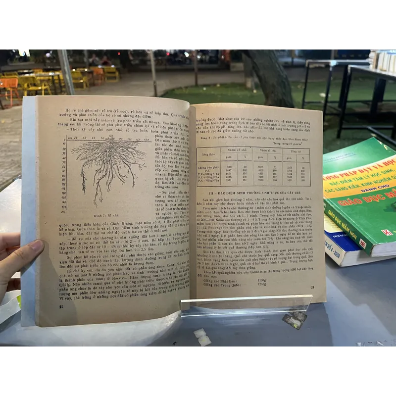 GIÁO TRÌNH CÂY CHÈ 674163