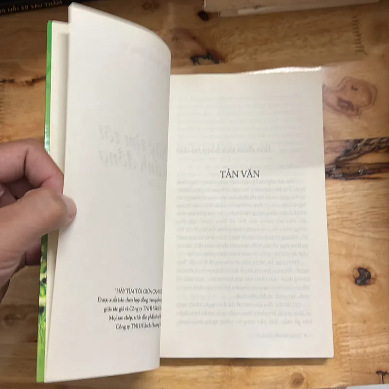 II Tản Văn Và Truyện Ngắn: Hãy Tìm Tôi Giữa Cánh Đồng - Đặng Nguyễn Đông Vy - 2012 698021