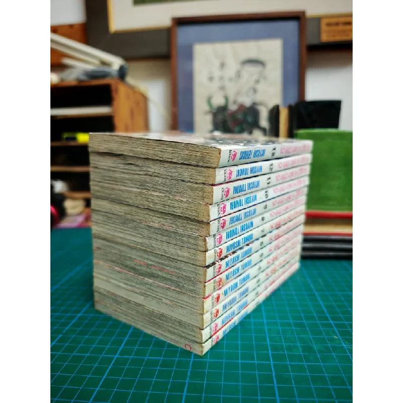 TRUYỆN TRANH Ác Quỷ và Bản Tình Ca - Miyoshi Tomori 139357