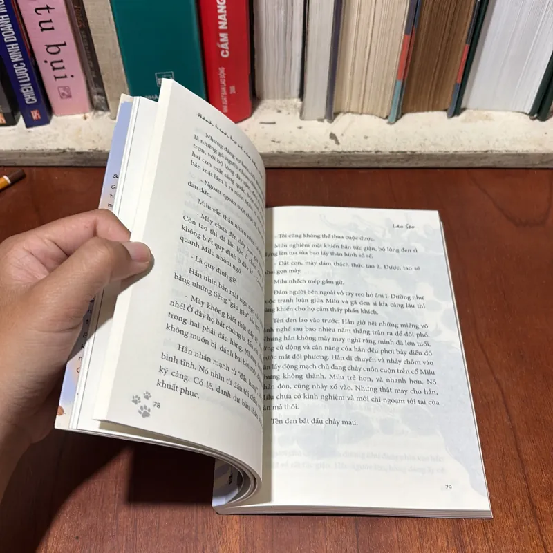 II Truyện Dài Thiếu Nhi: Hành Trình Trở Về Của Bầy Chó - Bùi Mai Linh - 2023 752185