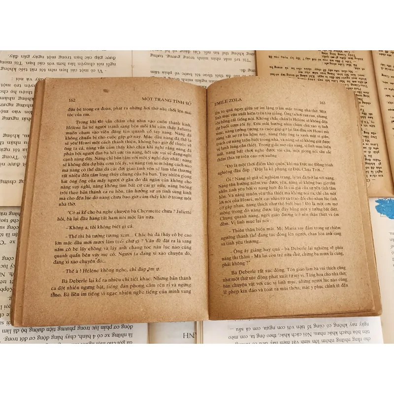 Tác phẩm văn học cổ điển Pháp của nhà văn Émile Zola 719388