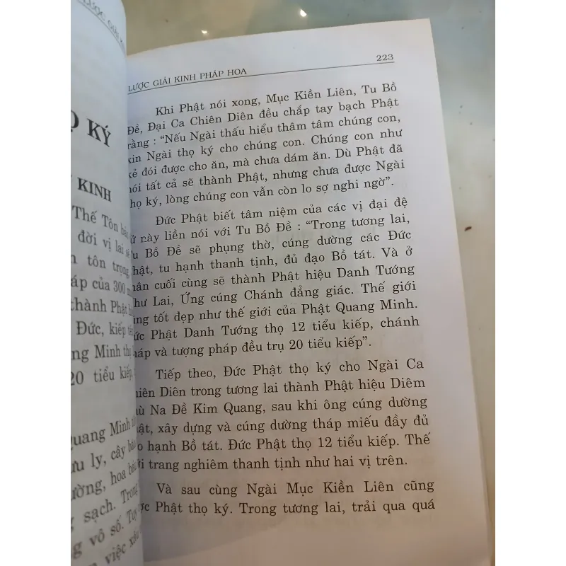 LƯỢC GIẢI KINH PHÁP HOA - THÍCH TRÍ QUẢNG 1026403