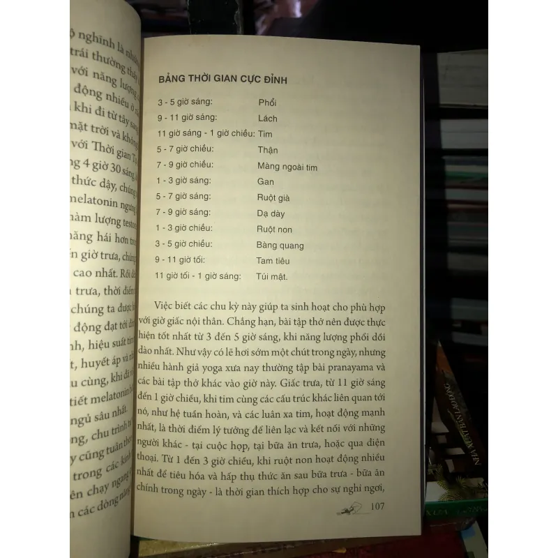 Đức Phật và thời gian - Lama Surya Das 745925